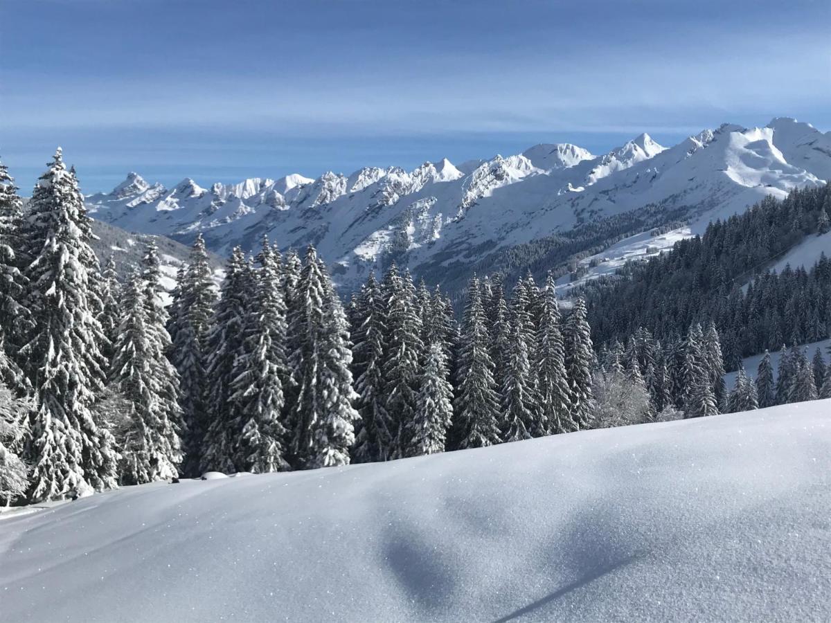 Appartement Lapreski, Spacieux, Proche Lac D'Annecy, Randonnees Montagne โธนส์ ภายนอก รูปภาพ