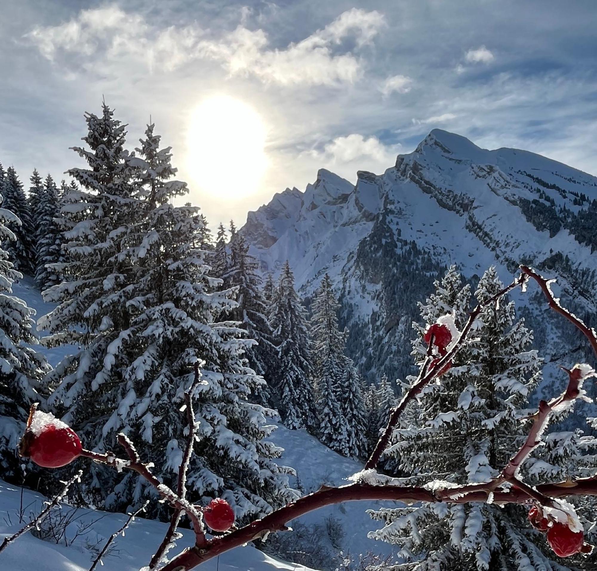 Appartement Lapreski, Spacieux, Proche Lac D'Annecy, Randonnees Montagne โธนส์ ภายนอก รูปภาพ